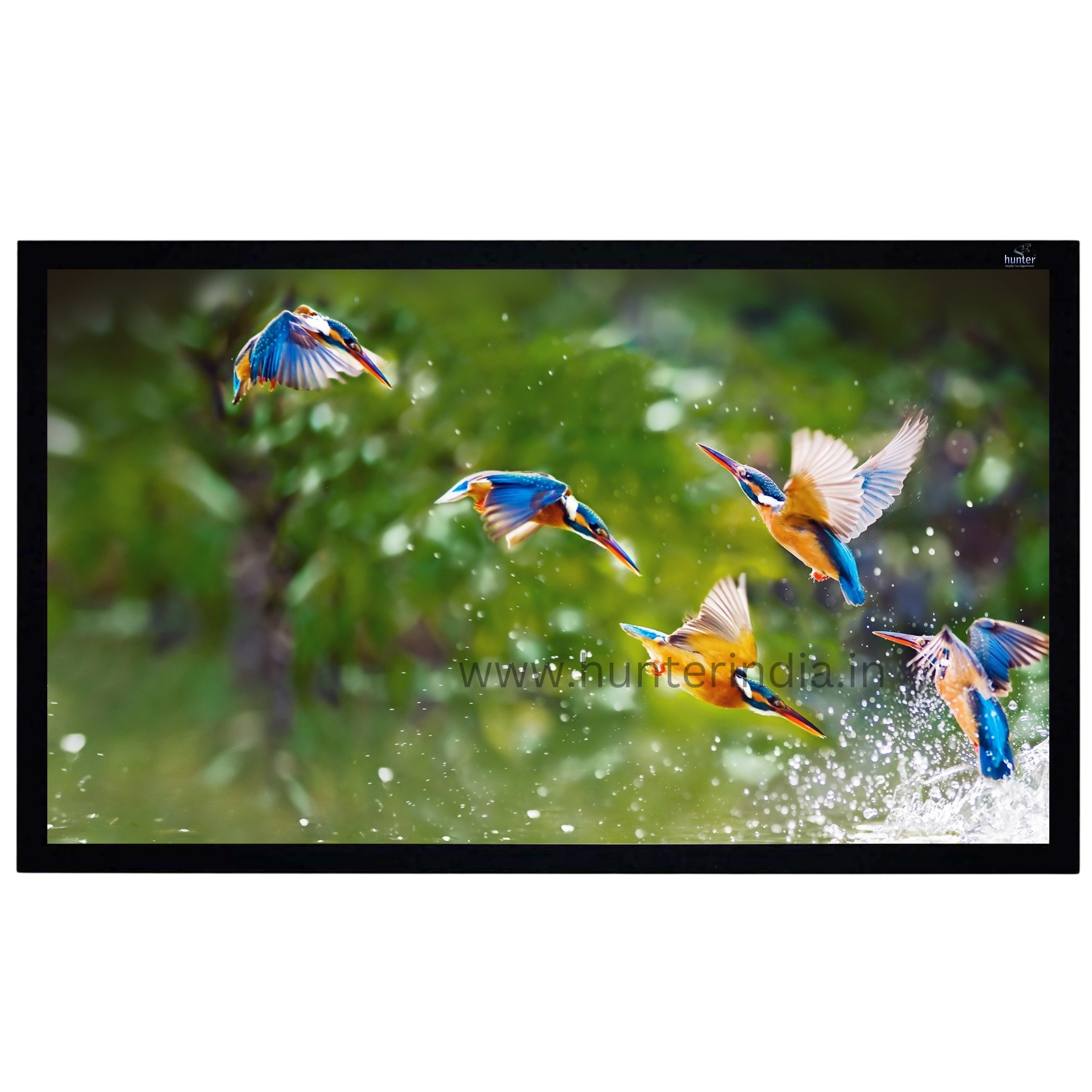 Hunter Projection Screen Fixed Frame 100" 16:9-9260