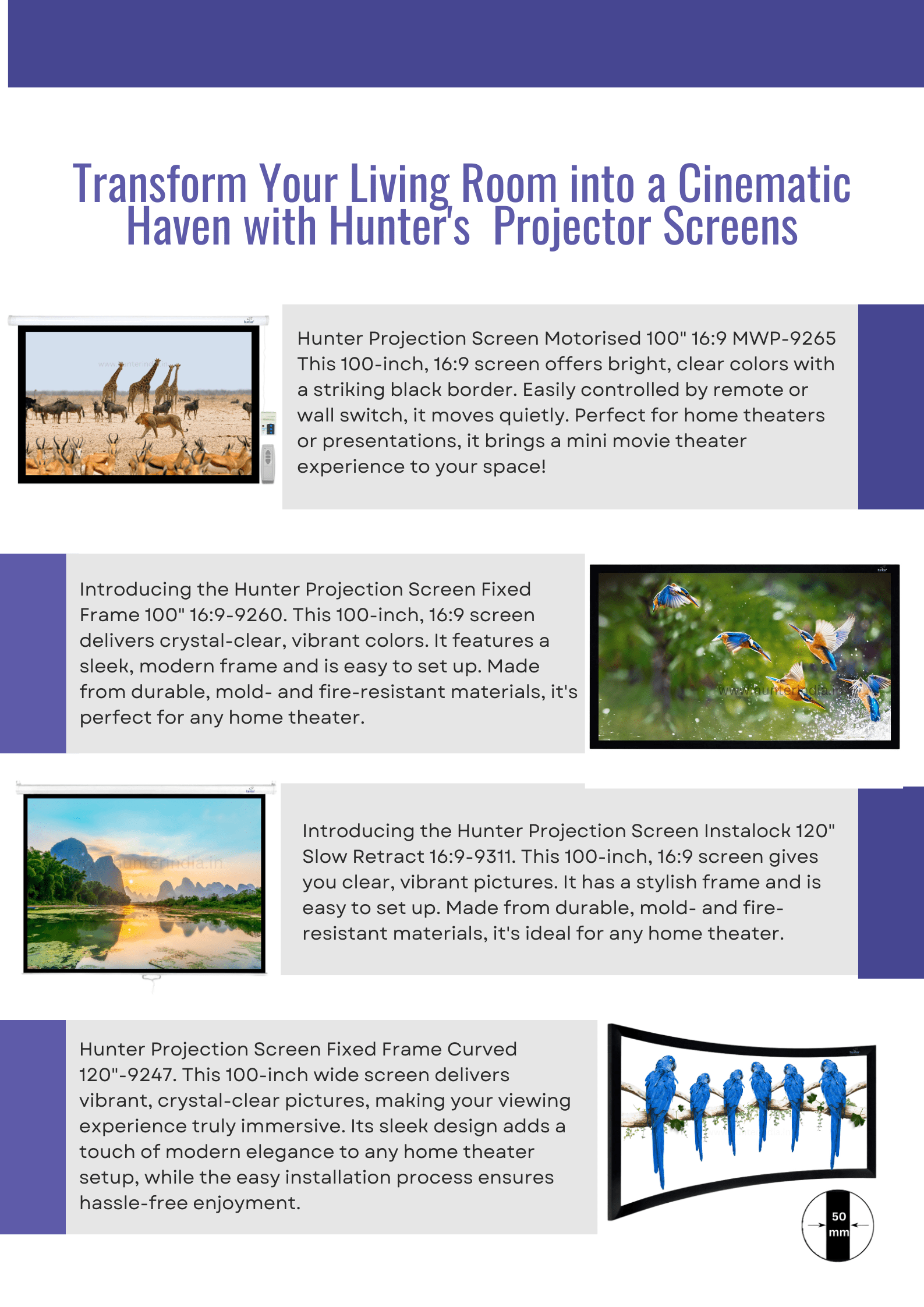 motorised projector screen, fix frame projector screen, instalock projector screen, curve projector screen, projector screen