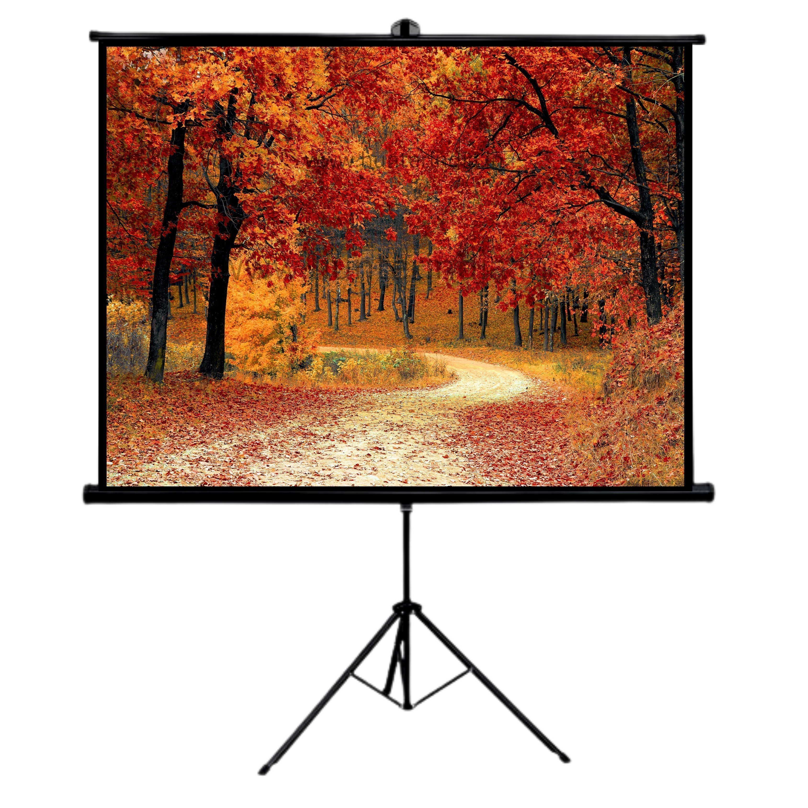 How to Choose the Best Tripod Projector Screen for Your Needs